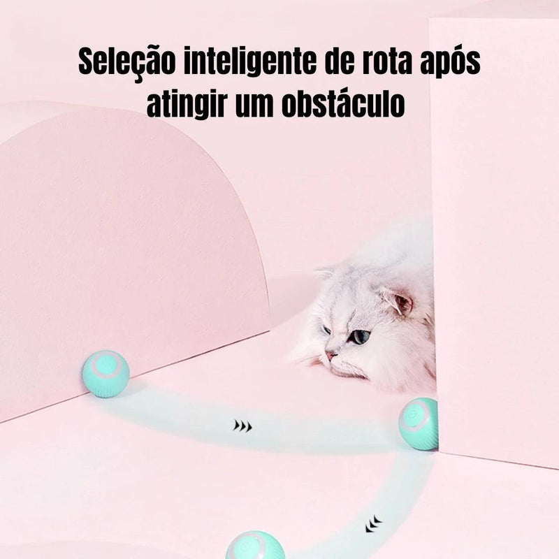 Bola Mágica para Pet