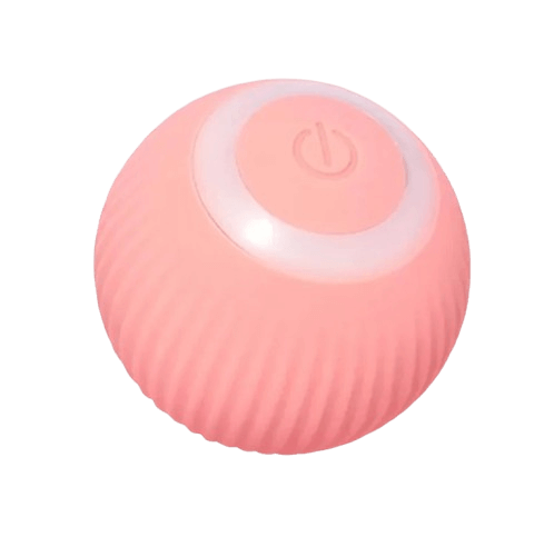 Bola Mágica para Pet